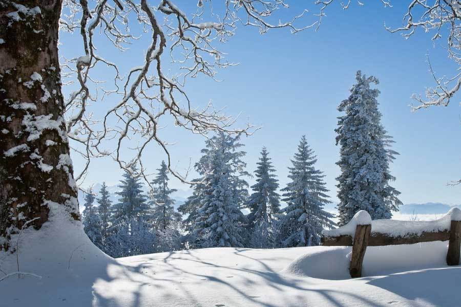 开放式游戏世界获年度最佳创意奖