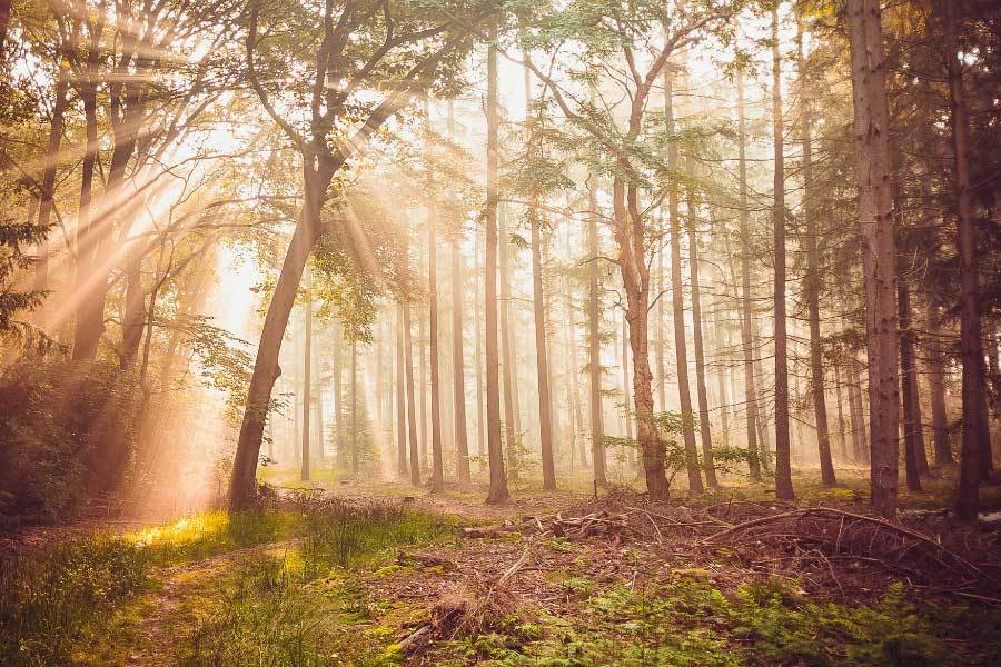 开放式游戏世界获年度最佳创意奖